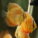 동글동글 이미지