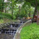 만수산자연휴양림 충청탑뉴스