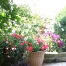 동남행정사무소 이미지