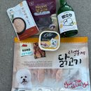 멍멍냐옹 이미지