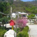 강가애하루 이미지