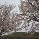 F8021 이미지