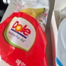 2186 | 인천-오카야마 왕복 대한항공 KE2185/KE2186(A220-300)+특별기내식