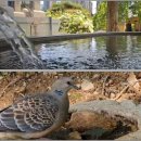 스마트폰 사진 / 동영상 편집 이미지