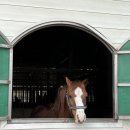 이레 스테이 이미지