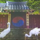 사랑하는 사람과의 사랑, 부자관계의 사랑은 계절을 타지 않습니다. 이미지
