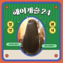 천연염색헤어샵오땡큐 | 신논현붙임머리 땋기붙임머리로 티안나는 헤어캐슬24