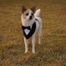 광 장 | [W24] 자연광 맛집 룩포메이션 토탈스튜디오 웨딩촬영 내돈내산 추천 후기