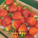 카페딸기밥상 이미지