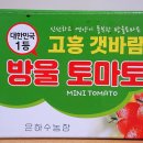 우주농장 | 고흥몰 갯바람 고흥 대추방울토마토 후기 우주최강 당도 신선함 실화