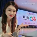 경상남도청도청잔디광장 네이버블로그