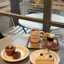 6239 | 카공하기 좋은 건대 예쁜 카페 추천 투또톤토 후기