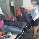 남북사랑결혼정보 이미지