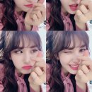 쏨 이미지