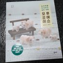 [서평]모루공예레슨 - 창의력을 자극하는 놀이아트