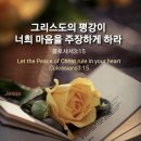 참회의 기도문 - 교회에 머리 되시는 주님! 이미지