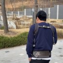 퍼피파파 | 허그파파 퍼피 숄더백 후기 아기띠 짝꿍템 기저귀가방 대용량 육아템 추천