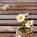 선물의집 이미지