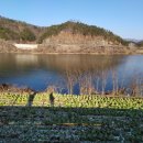 신매2리 이미지