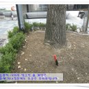 서도지구대 이미지