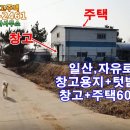 일산,자유로인접 창고용지+텃밭 500평,주택+창고60평 급매 이미지