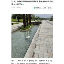 피요 네이버블로그