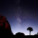 조슈아농장 이미지