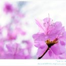 이천상조