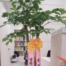 신영통경희한의원 네이버블로그
