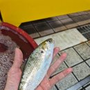 천지수산 이미지