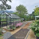 디에스팜 이미지