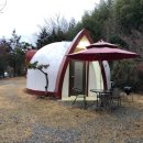 담양 반딧불 이미지