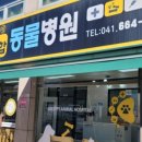 구피동물병원 이미지