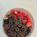 용산-335 | 요거트월드 용산점! 저당 요거트아이스크림 카다이프, 생딸기, 초코팅소스 추가 꿀 조합 후기!