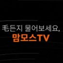 맘모스헤어라인의원 메디컬투데이