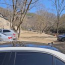전남구례 화엄사 홍매화 벚꽃 주차 입장료 정보