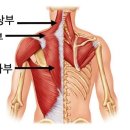 원픽짐 이미지