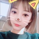 서혜린 카카오 검색결과