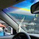 애견사랑 이미지