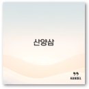 명현농장 | 산양삼 가격과 먹는 법부터 효능 재배법 장뇌삼 차이까지 알아보아요