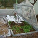 동청목장 이미지