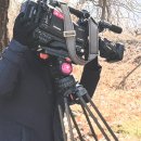 서산 태양광발전소 이미지