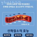 송파구 문정동 한의원 경희약손한의원 진료시간 접근성 이용후기