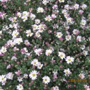 오륜대 한국순교자기념관 이미지