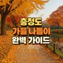 유림농장 | 충청도 가을 여행지 추천 10곳
