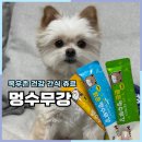 멍이펫 | 강아지간식 목우촌 펫 9단 멍수무강 츄르 한우 양갱스틱 급여 후기