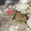 장산서길 이미지