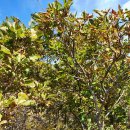 덕유목장 이미지