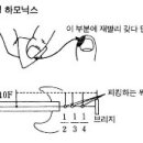 하모닉스 주법에 관한 설명 이미지