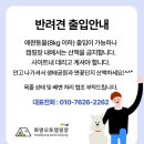화명 오토캠핑장 네이버블로그